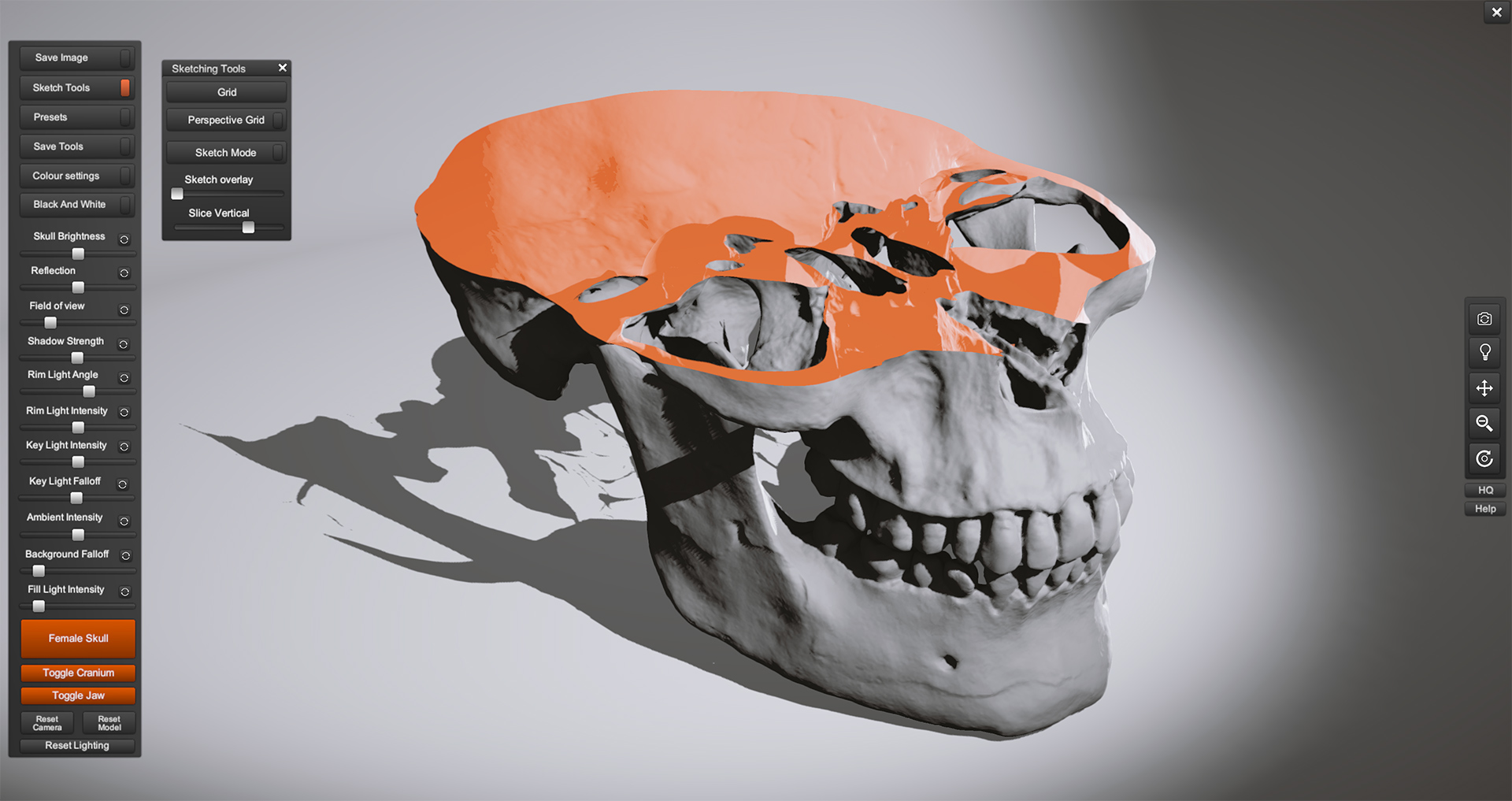 Skull Sketcher 2 | Anatomy 360