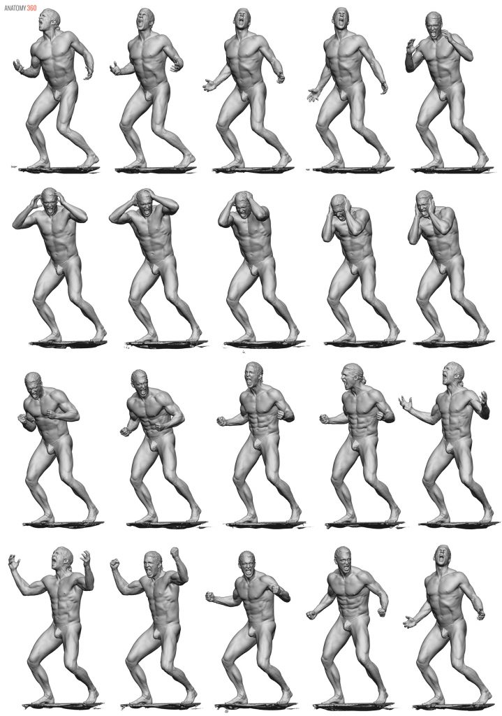 3D.SK - Human Anatomy | Elmer 5 Fighting Poses | 40 Photos